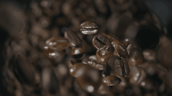 드롭샷매치 포트폴리오 - 피글렛 커피공장 홍보영상