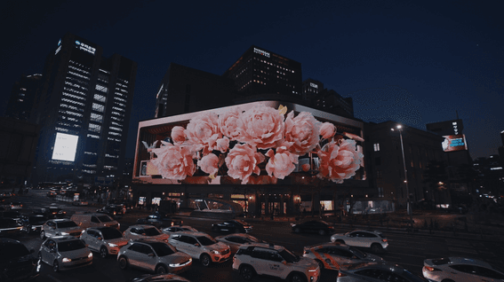 드롭샷매치 포트폴리오 - 음악가의 수트케이스’ “The Musician’s Suitcase” 아나모픽 스케치