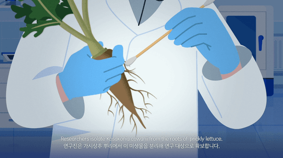 드롭샷매치 포트폴리오 - 액화비료 특장점 소개영상