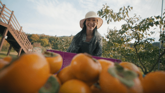 드롭샷매치 포트폴리오 - 제작영상 전체 쇼릴 모음