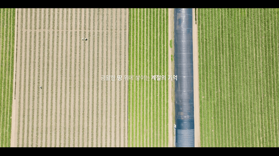 드롭샷매치 포트폴리오 - 김치 브랜드 티징 홍보 영상