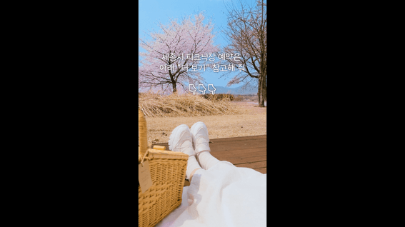 드롭샷매치 포트폴리오 - 요즘대세종 세종시 봄나들이