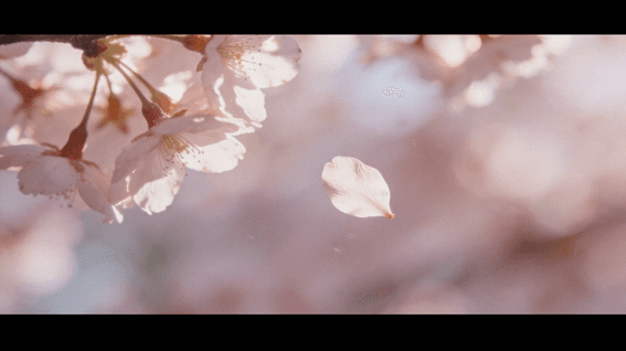 드롭샷매치 포트폴리오 - 마지막으로 너를 부르던 날 | For.REST Cinematic AI Teaser