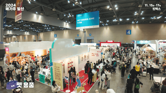 드롭샷매치 포트폴리오 - 메가주 일산 2024 스케치영상