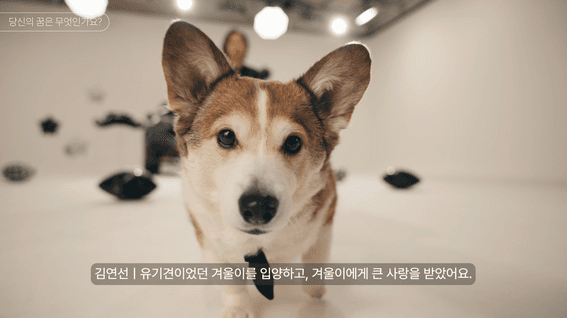 드롭샷매치 포트폴리오 - 혼다 메모리카 시즌2 : 자동차와 함께 찍는 드림 화보