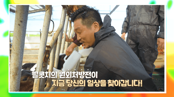 드롭샷매치 포트폴리오 - [원외처방전]젖소농장,  쉽게 생각했다 큰 '콧' 다쳤다ㅣ필콧치가 당신의 일상을 찾아갑니다