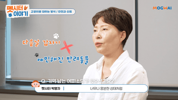 드롭샷매치 포트폴리오 - 모그와이 고양이 펫시터 이야기