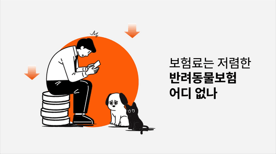 드롭샷매치 포트폴리오 - 마이브라운 서비스 소개 모션그래픽
