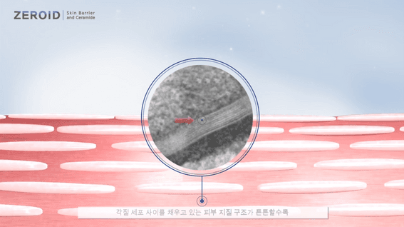 드롭샷매치 포트폴리오 - 제로이드 제품 홍보 영상