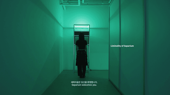 드롭샷매치 포트폴리오 - [전시 아카이브] 팀펄 - Liminality of Separium │ 수림큐브