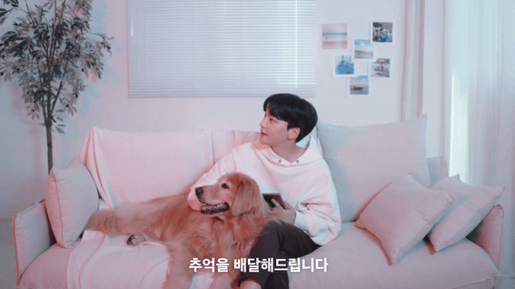 드롭샷매치 포트폴리오 - 붙이는 액자 '스티키픽'