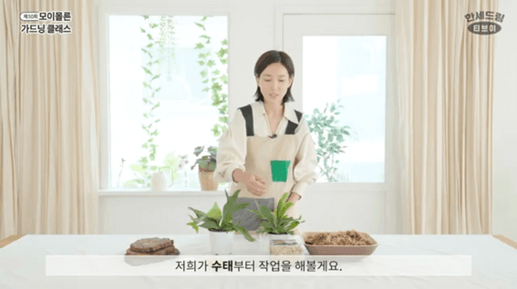 드롭샷매치 포트폴리오 - 온라인 가드닝클래스 영상제작