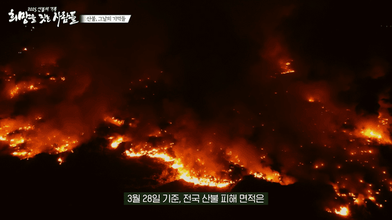 드롭샷매치 포트폴리오 - 산불 피해 주거지원 휴먼 다큐멘터리 콘텐츠