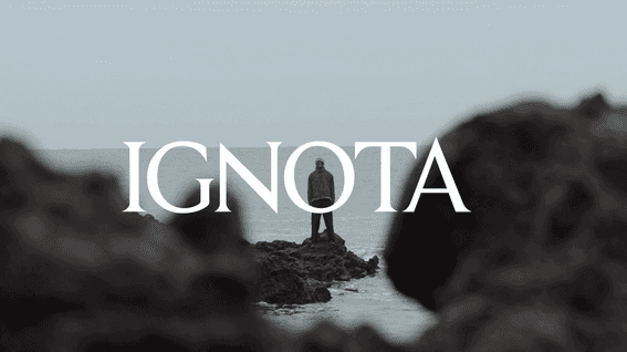 드롭샷매치 포트폴리오 - IGNOTA_CORE4