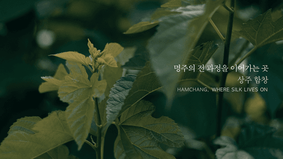 드롭샷매치 포트폴리오 - 함창명주ㅣ브랜드 필름