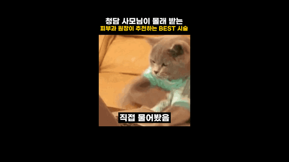 드롭샷매치 포트폴리오 - 밈 편집으로 시술 정보를 풀어낸 피부과 정보 숏폼