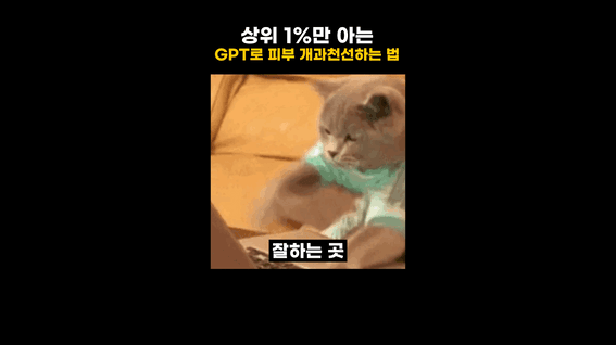 드롭샷매치 포트폴리오 - 밈 편집으로 피부 관리 선택 과정을 설명한 정보 숏폼