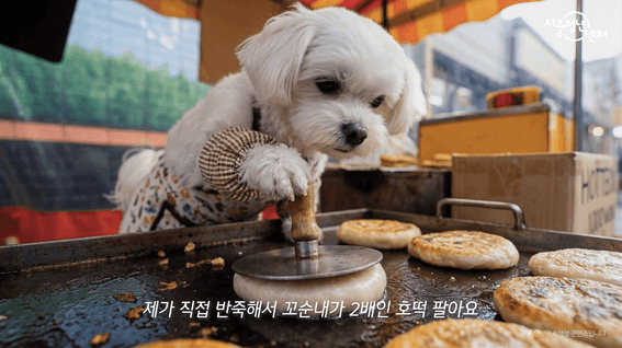 드롭샷매치 포트폴리오 - 서울시 청년정책홍보영상 l 서울청년센터