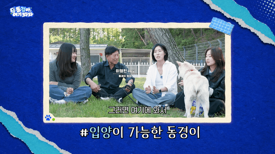드롭샷매치 포트폴리오 - [경주시] 경주개 동경이 홍보 콘텐츠