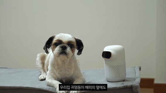 드롭샷매치 포트폴리오 - 로바 소형 공기청정기 제품 홍보 영상