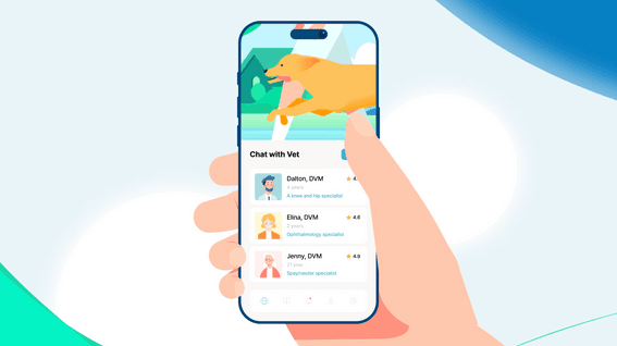 드롭샷매치 포트폴리오 - 보험 앱서비스 모션그래픽 광고 영상