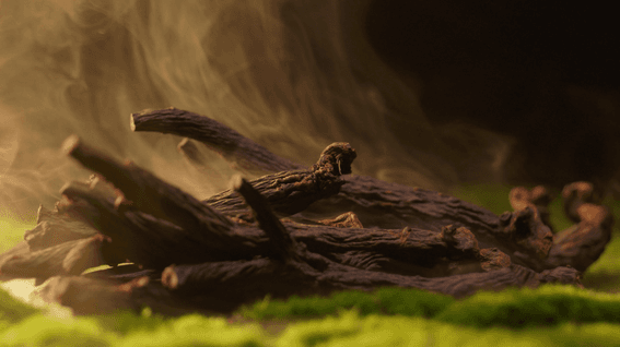 드롭샷매치 포트폴리오 - 보한장_ 진보강 고려흑삼