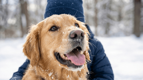 드롭샷매치 포트폴리오 - 시그니처 속초 생성형AI 브랜드 필름