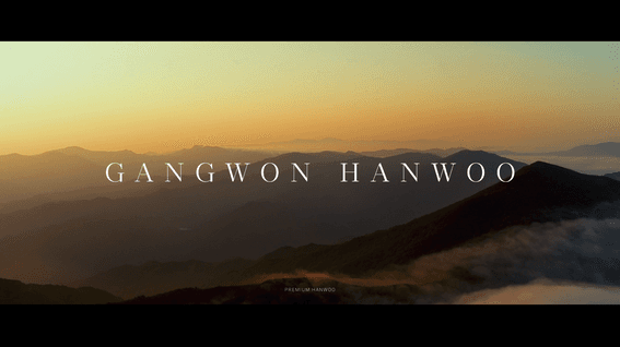 드롭샷매치 포트폴리오 - 2025 강원한우 브랜드 필름